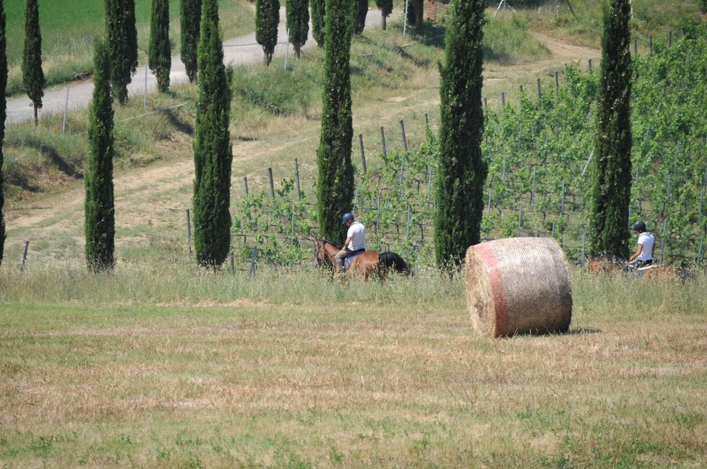 Tenuta Casabianca مورلو المظهر الخارجي الصورة