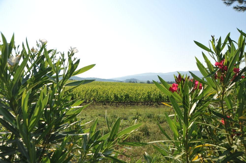 Tenuta Casabianca مورلو المظهر الخارجي الصورة